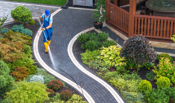 Best Pressure Washing Near Me  in Lorado Springs, CO